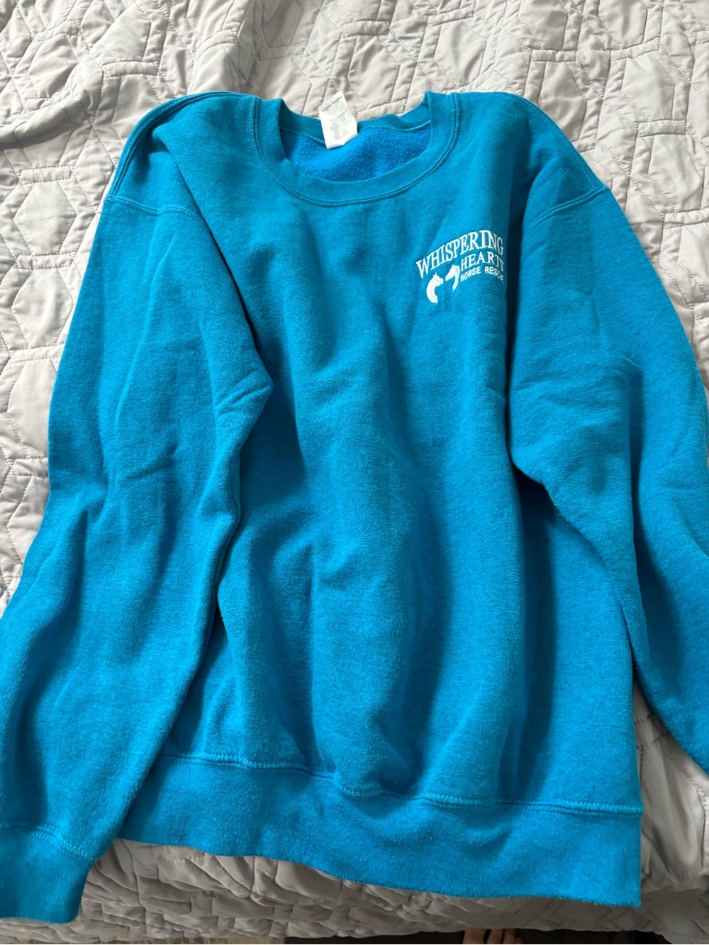 Teal Crewneck Sweatshirt - Women's Sweater